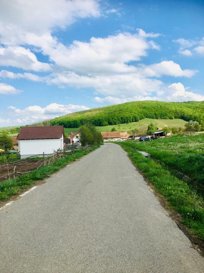 Dunesdorfer Pension Hotel Dános Kültér fotó